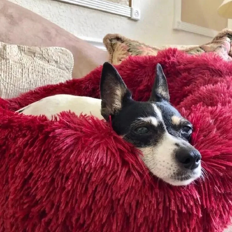 Plush Round Dog Bed